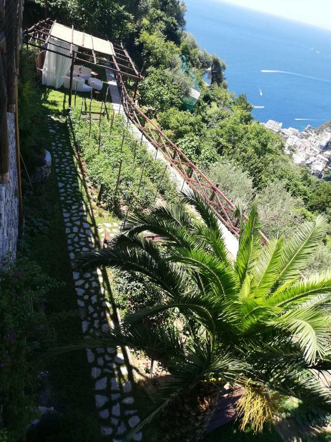 Villa Graziella Positano "A Piece Of Paradise" Kültér fotó